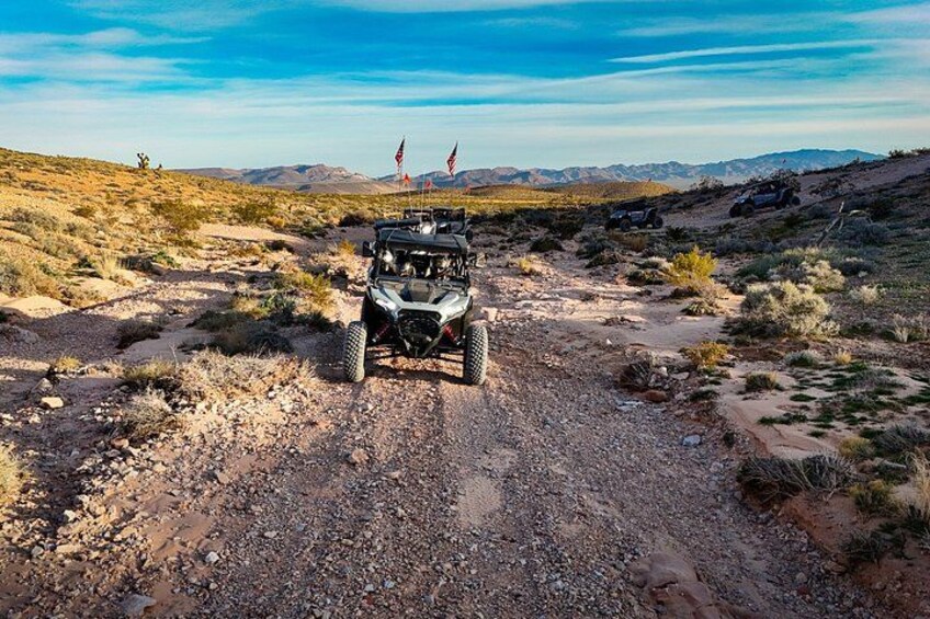 Guided Mojave Desert Off Road RZR Adventure 3