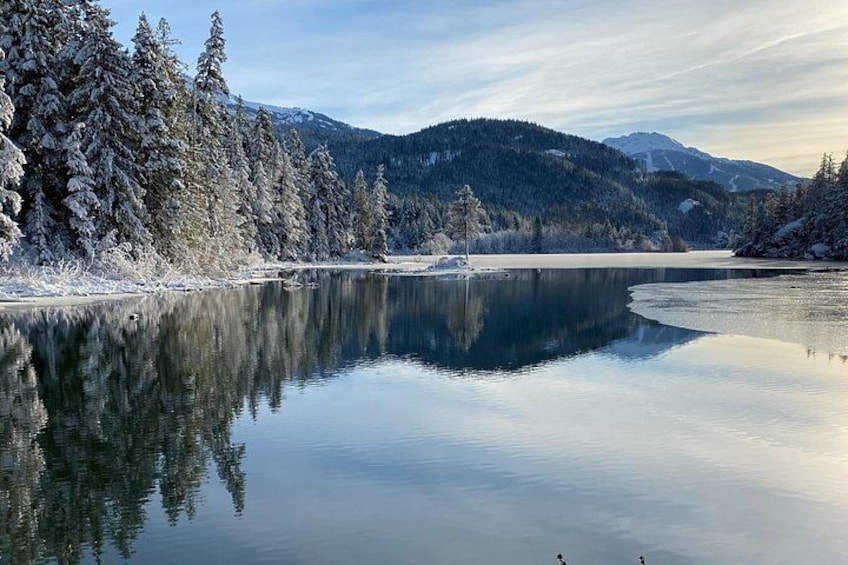 Ein ruhiger See, umgeben von schneebedeckten Bäumen und Bergen. 4