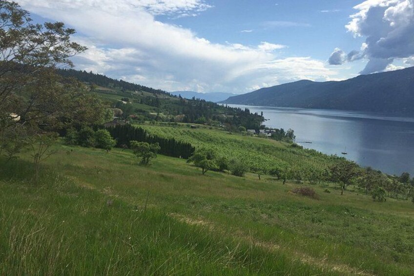 A lake surrounded by hills and trees. 3