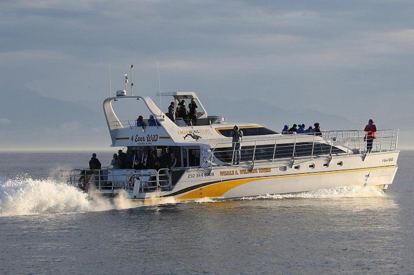 Een speedboot met passagiers, spuitsuikerwater en een verre kustlijn. 4