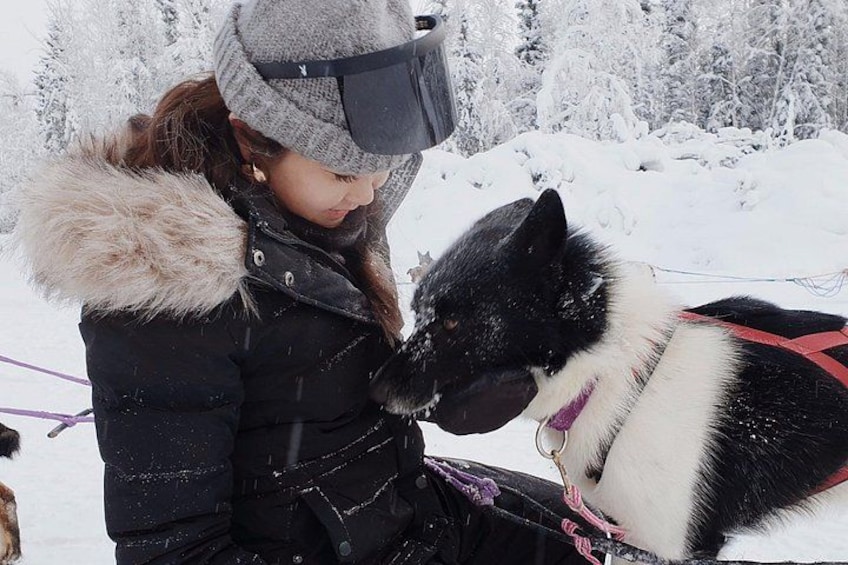 A person in winter clothing interacting with a sled dog in a snowy landscape. 2
