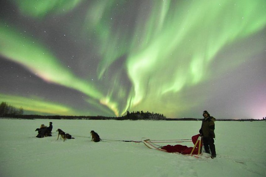 A person standing on a snowy field with a sled, under a night sky with the Northern Lights. 4