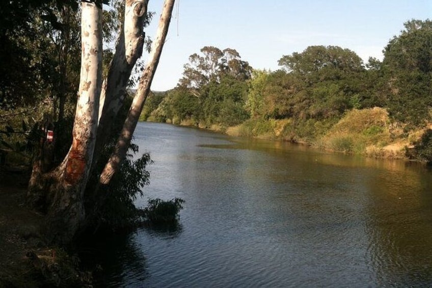 A river with trees on the banks. 5