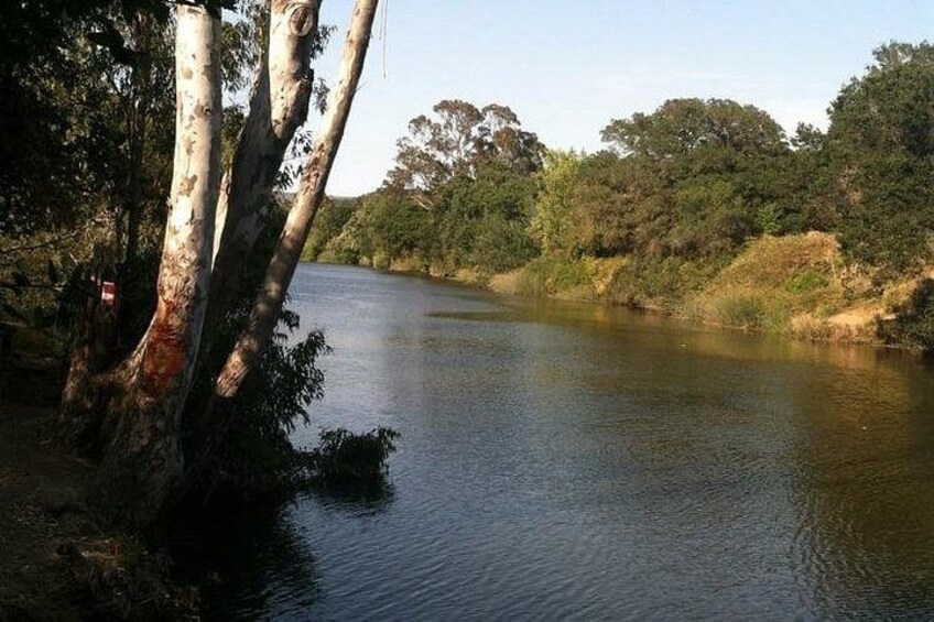 Napa Valley River History Kayak Tour: Single Kayaks 4