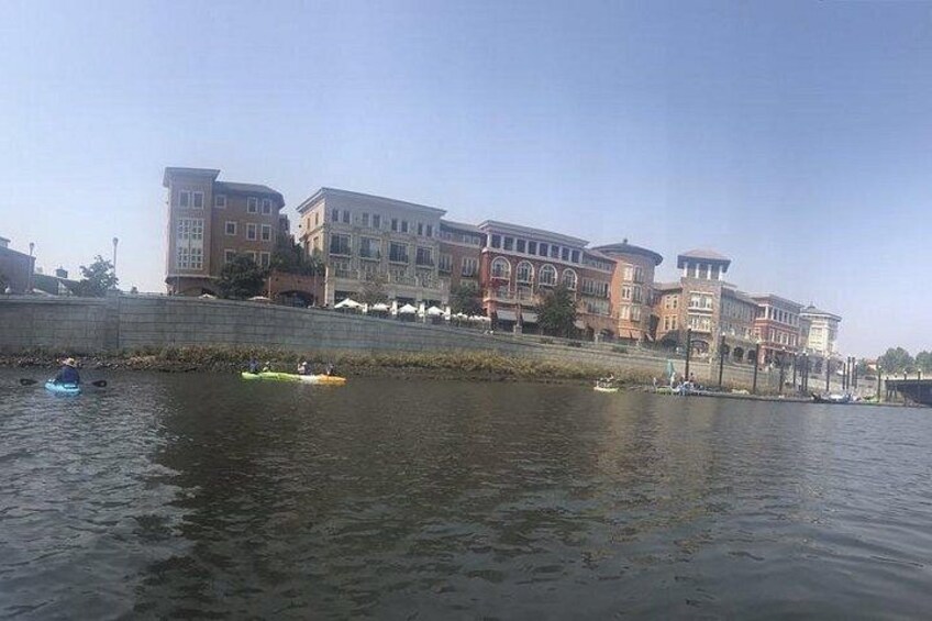 Napa Valley River History Kayak Tour: Single Kayaks 5