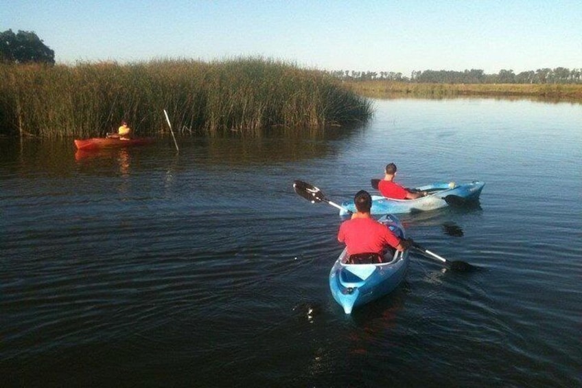 Zwei Personen paddeln mit dem Kajak auf ruhigem Wasser, im Hintergrund Schilf. 2