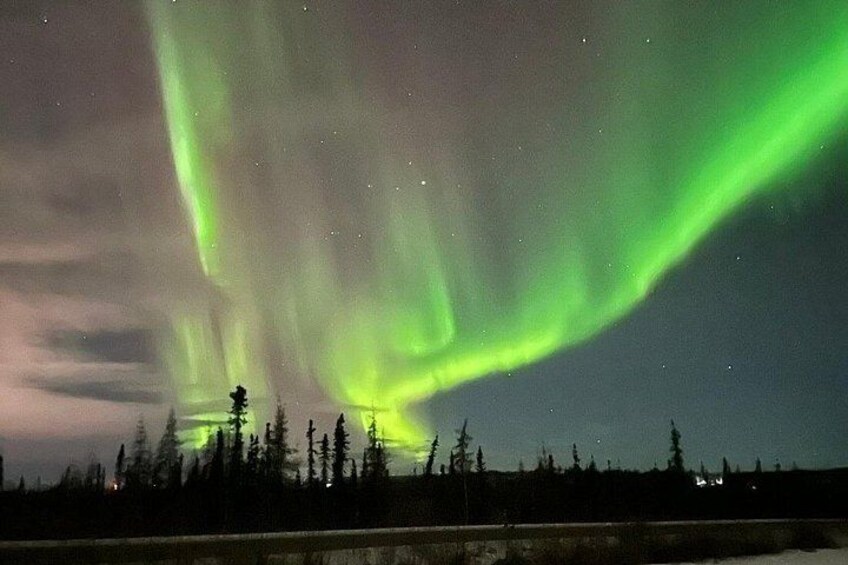 The Northern Lights over a forested landscape at night. 3