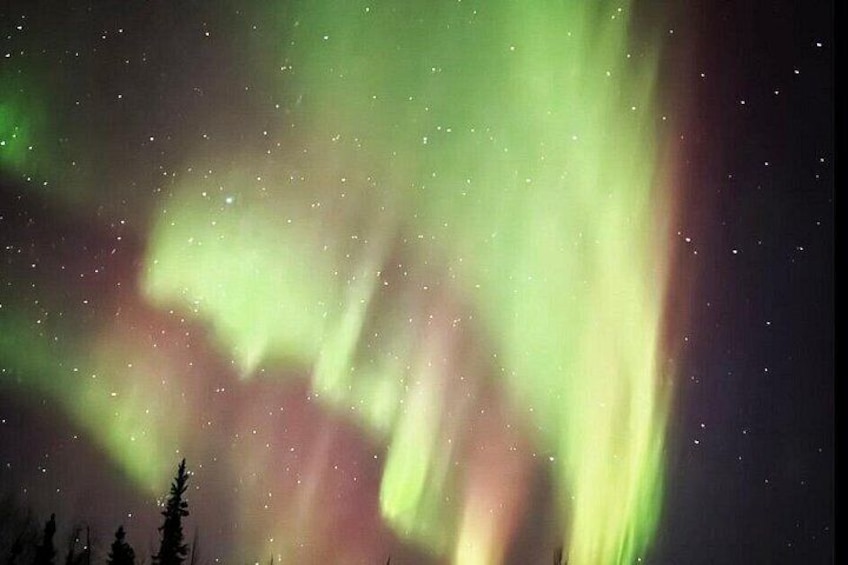 Northern Lights & Chena Hot Springs Tour 3