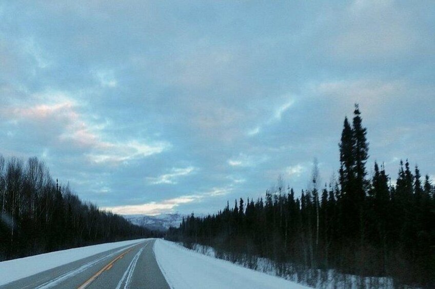 A snow-covered road flanked by trees under a cloudy sky. 5