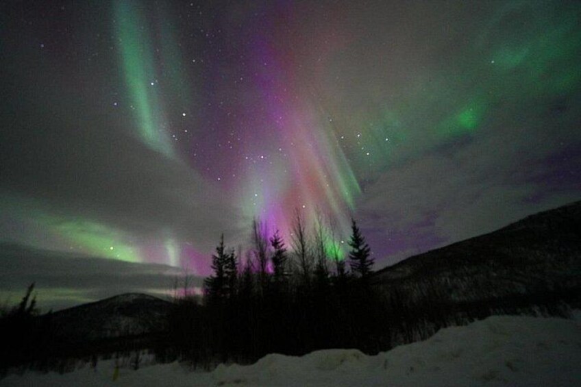 A snowy landscape with a forest and the Northern Lights. 4