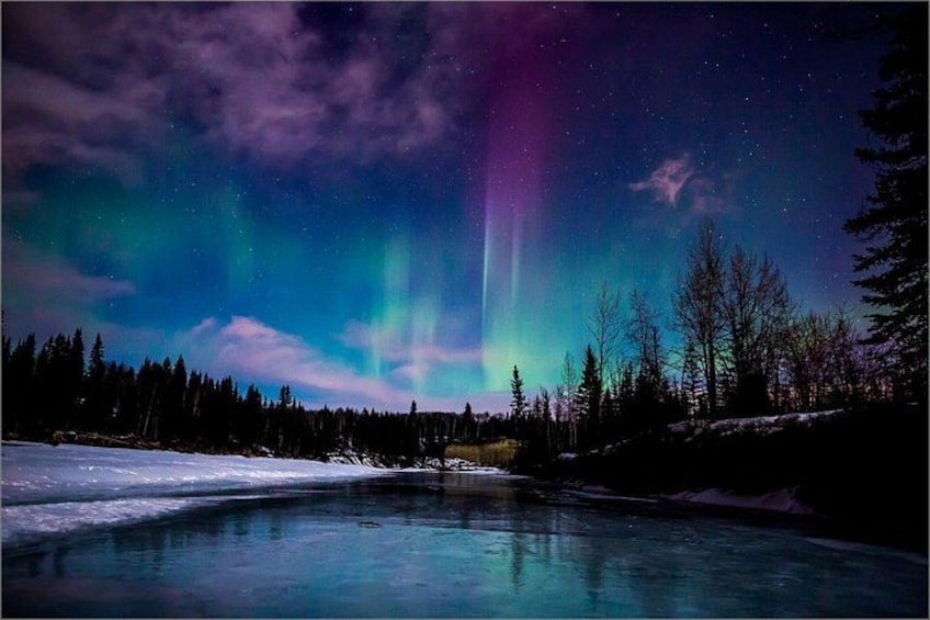 A night sky with aurora borealis over a frozen lake with trees. 5