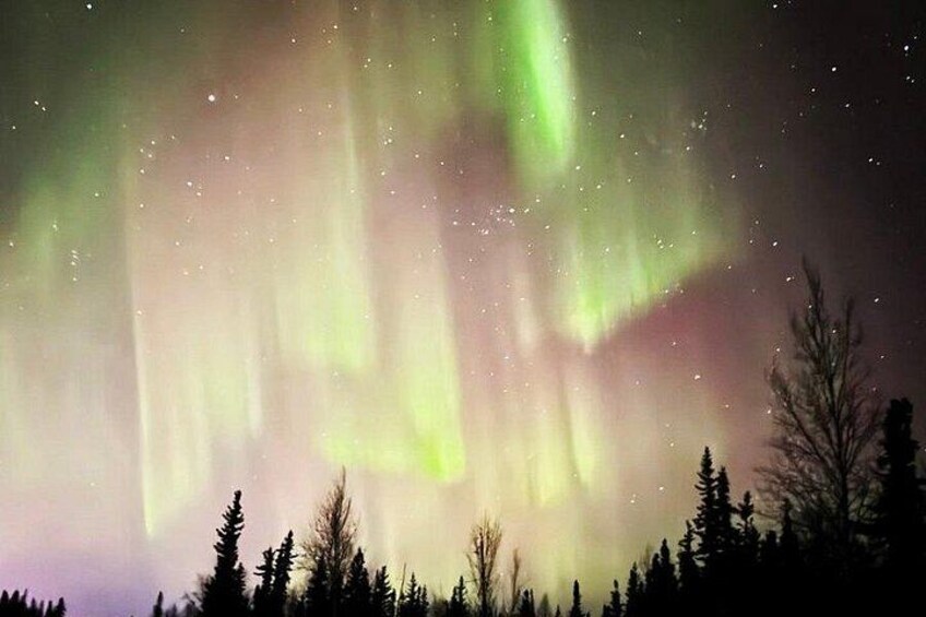 Northern Lights & Chena Hot Springs Tour 2