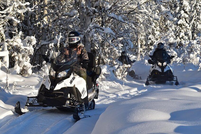 Slip through snow covered forests and across open fields. 2