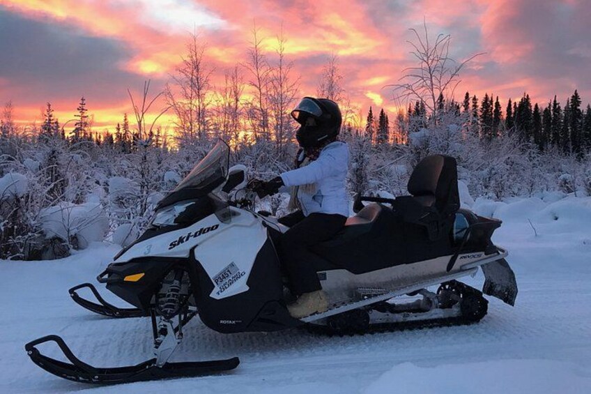 Step into Alaska's wild side by snowmobile 3