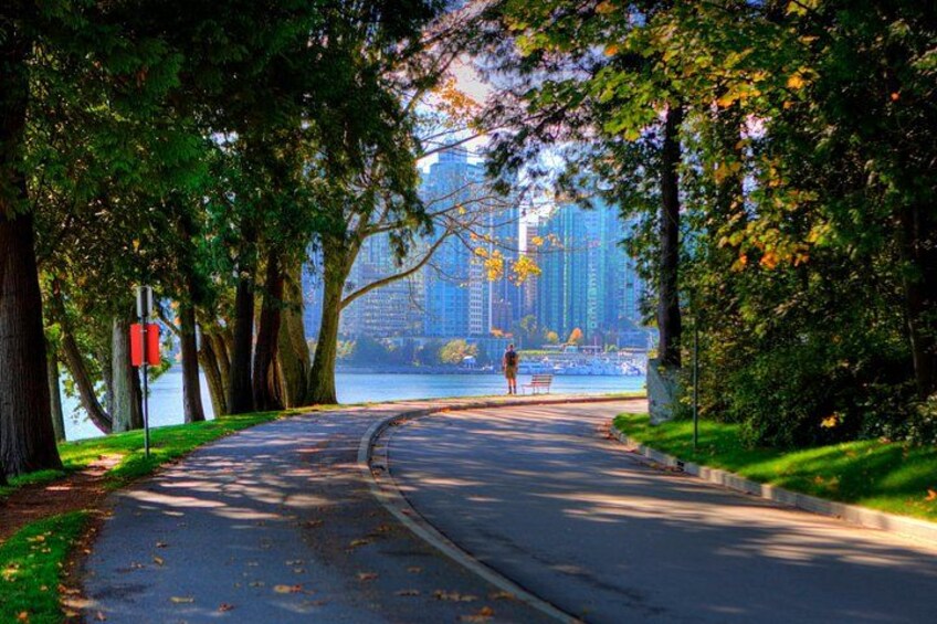 Stanley Park 4