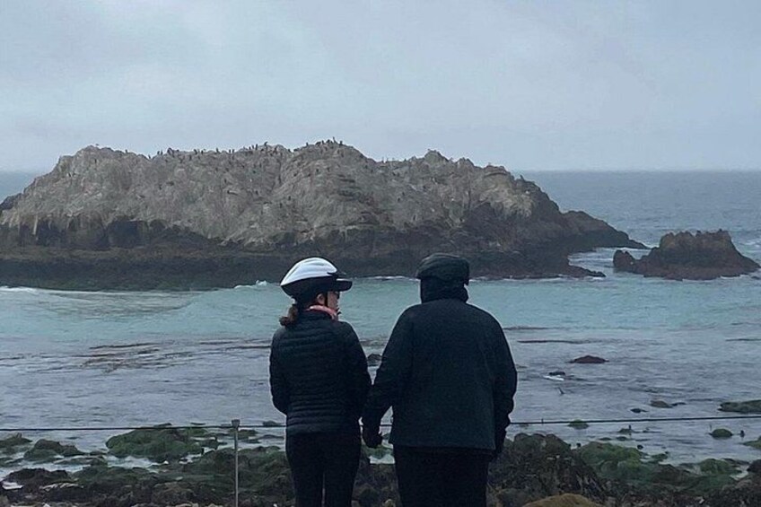 Bird Rock is often blanketed with barking sea lions — and yes, we ride in light rain too. It’s always worth it. 2