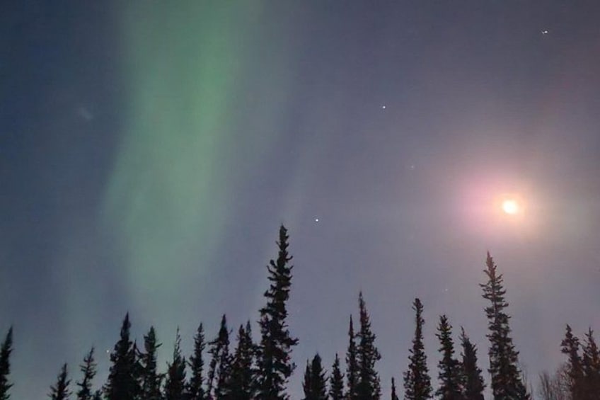 A night sky with the aurora borealis, a forest of coniferous trees, and a bright moon. 5