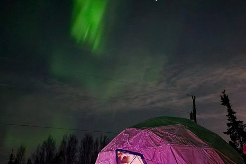 A tent under a night sky with green aurora borealis. 3