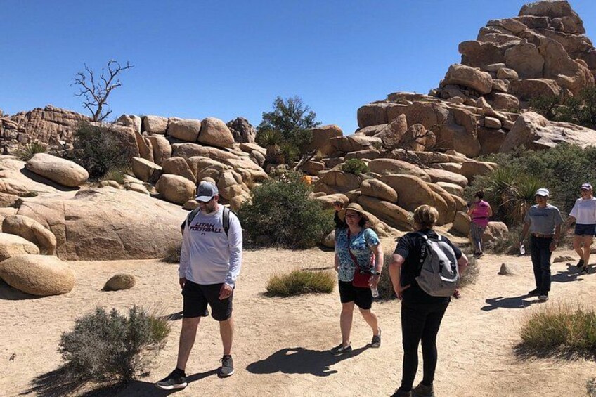 Joshua Tree National Park Offroad Tour 3