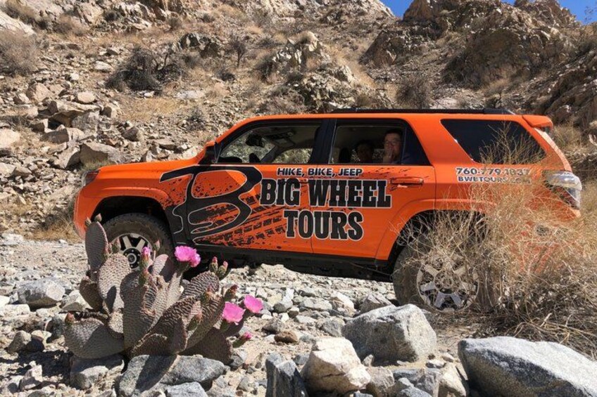 Un VUS orange, sur lequel on peut lire « Randonnée, vélo, excursions en Jeep », est garé sur un terrain rocailleux, au milieu de cactus et de plantes désertiques. 2