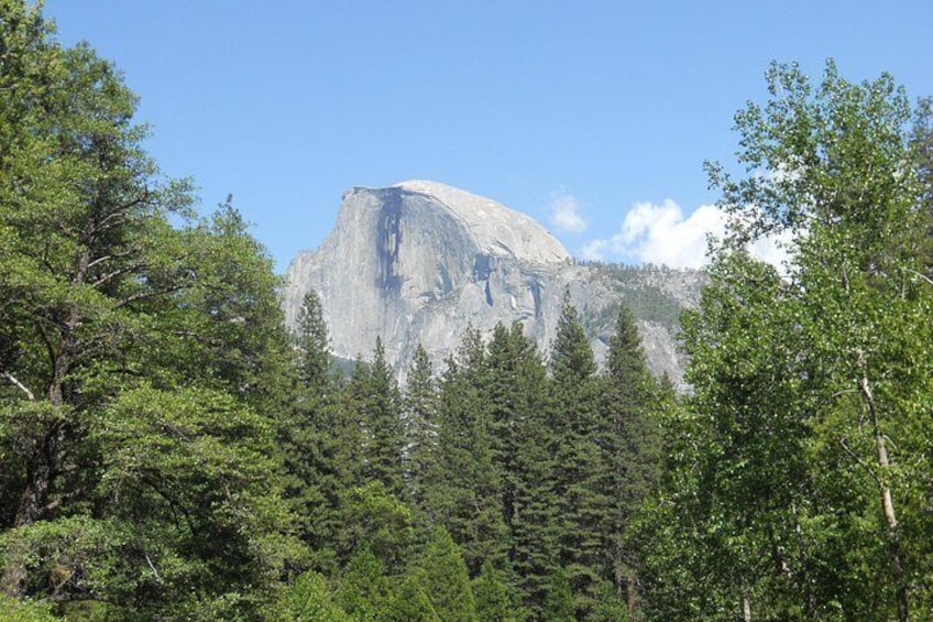 Una montaña con un pico destacado, rodeada de un denso bosque verde. 5