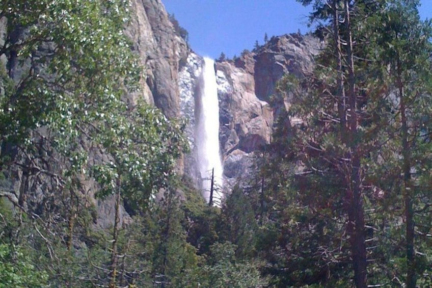 Una cascada rodeada de árboles. 1