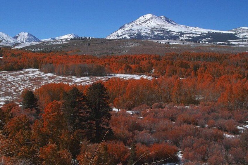 Un paysage montagneux avec un sommet enneigé, une forêt aux arbres aux couleurs automnales et un ciel bleu clair. 3