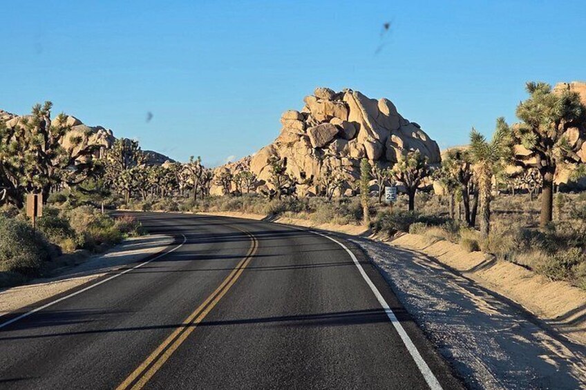 Enjoy the views at every head turn and let us do the driving. 3