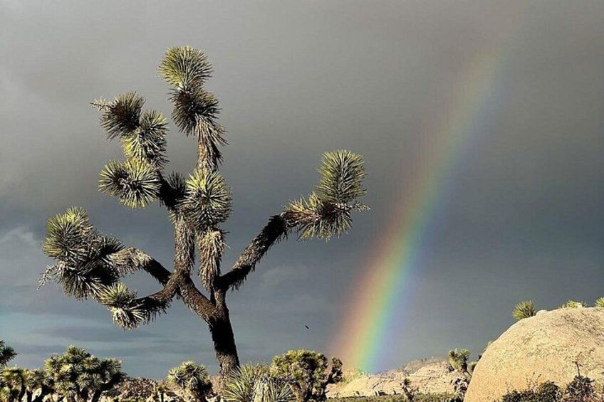 Incredible and dramatic scenery guaranteed! 4