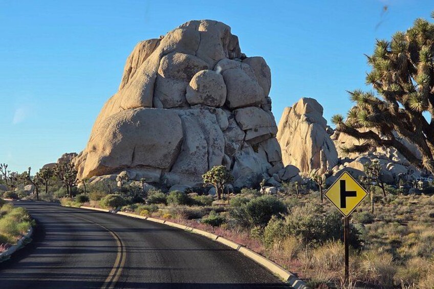 The world's climbing Paradise right here near Palm springs. 3