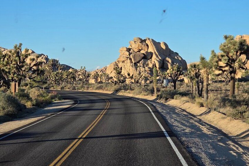 Enjoy the views at every head turn and let us do the driving. 2