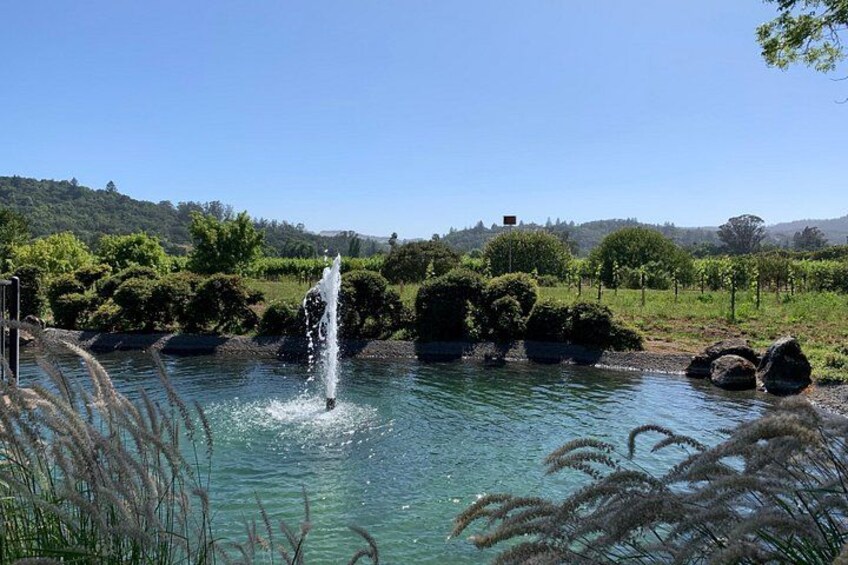 Kenwood Wine Country 5