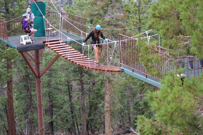 Suspension bridge in the treetops 3