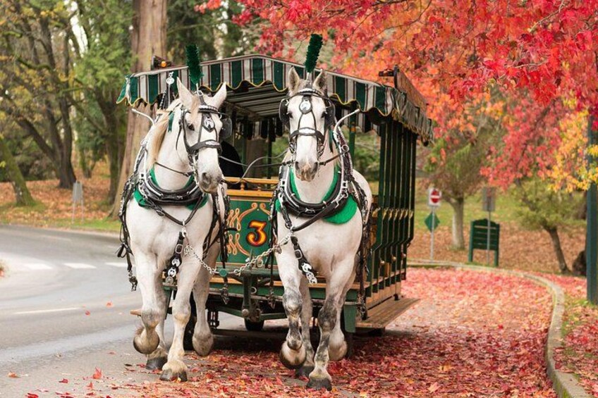 Stanley Park Horse Drawn Tour in Vancouver 1
