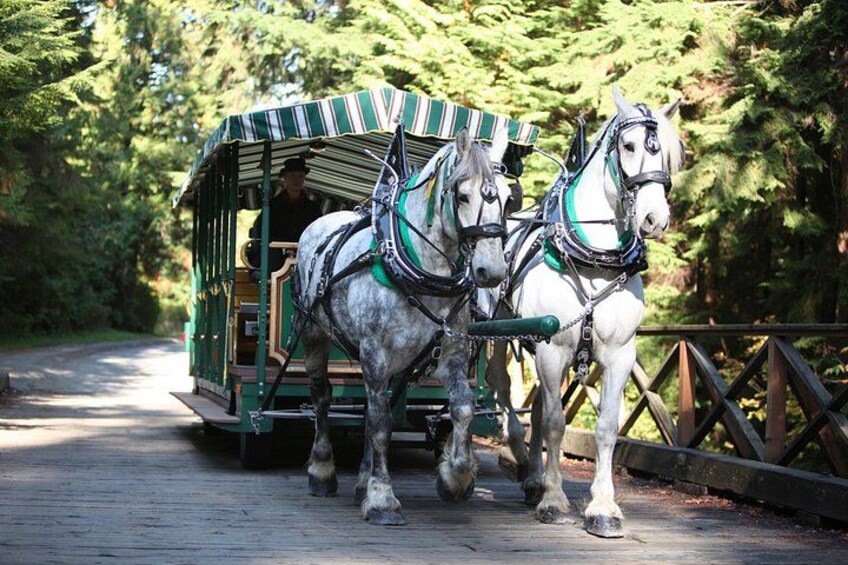 Stanley Park Horse Drawn Tour in Vancouver 2