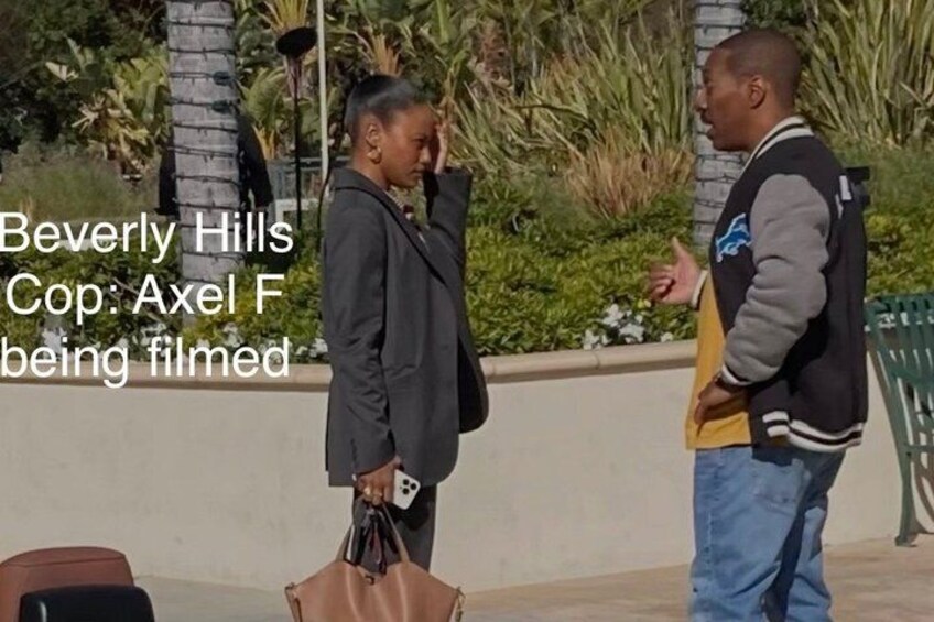 Anaheim to LA: Hollywood, Beaches & Famous Film Sites tour 2