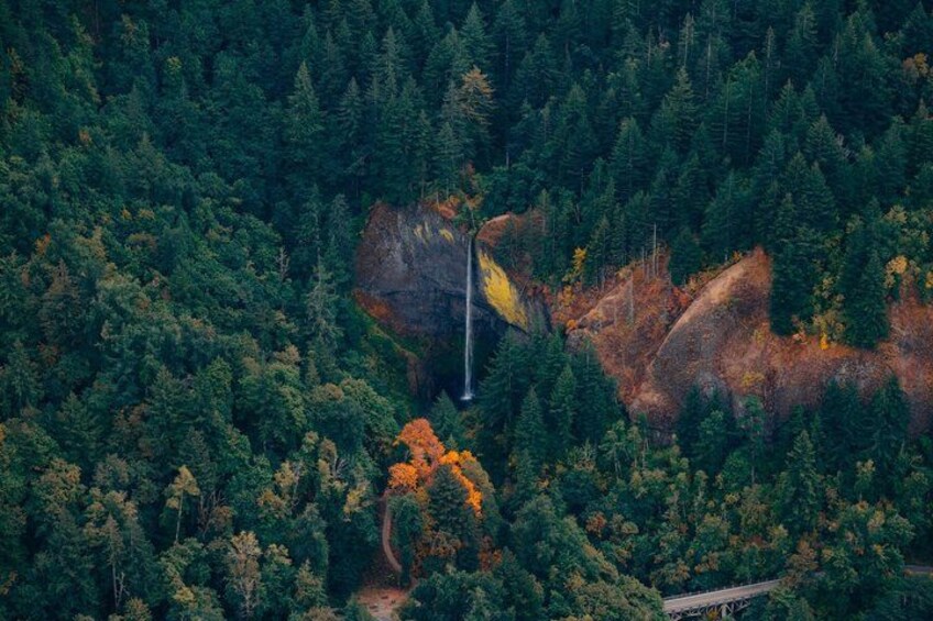 Multnomah Falls and Columbia River Gorge Tour by Envi Adventures 3