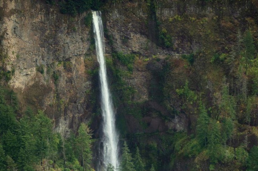 Multnomah Falls and Columbia River Gorge Tour by Envi Adventures 2