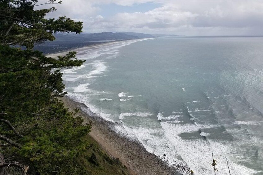 Manzanita Point