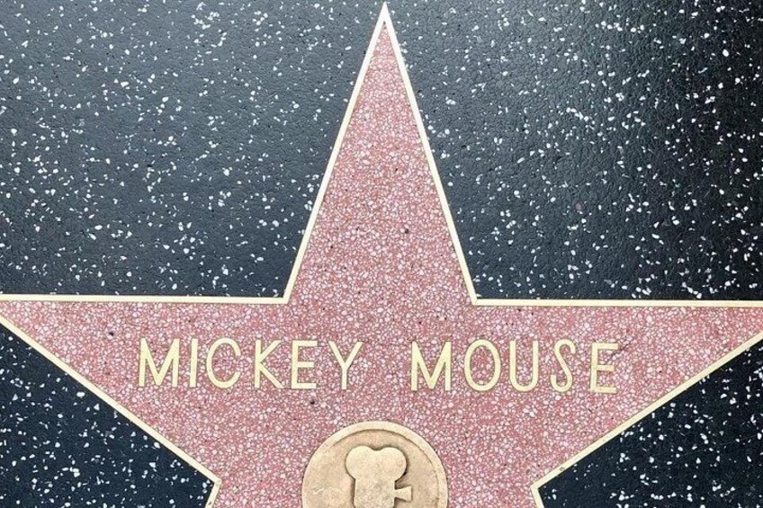 Famous star!!! 4