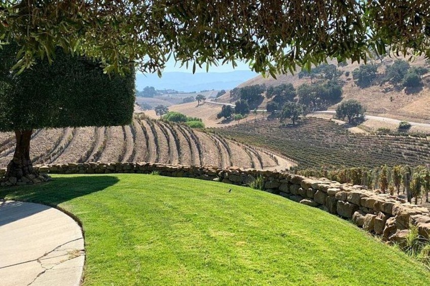 Santa Barbara Vineyard to Table Taste Tour by E-Bike 3