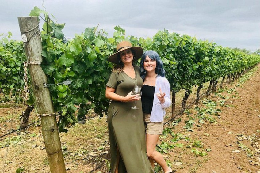 Viñedo con hileras de vides, un poste de madera y dos personas de pie en primer plano. 2