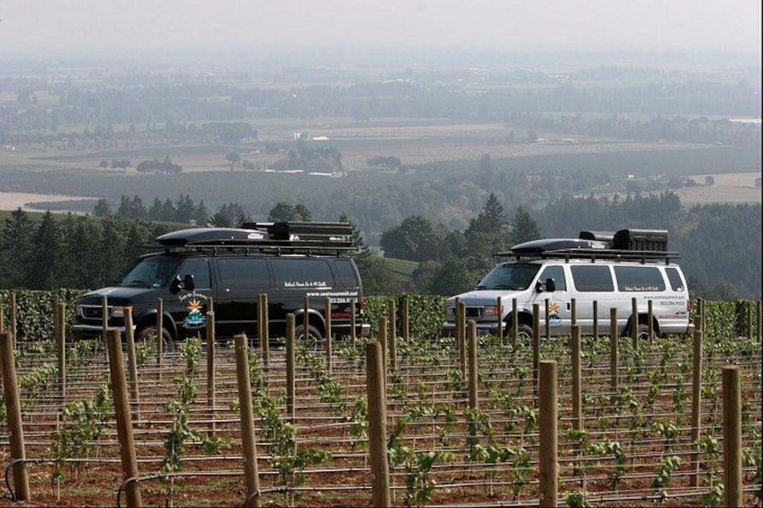 Private - Willamette Valley Wine Tour From Portland (tasting fees included) 4
