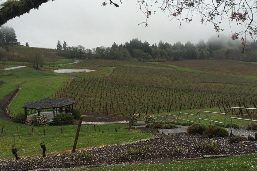 Private - Willamette Valley Wine Tour From Portland (tasting fees included) 3