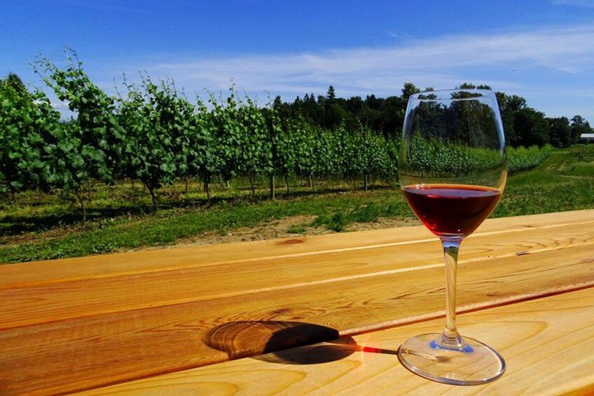 Full Day Best of Vancouver Private City Tour and Wine Tasting 4