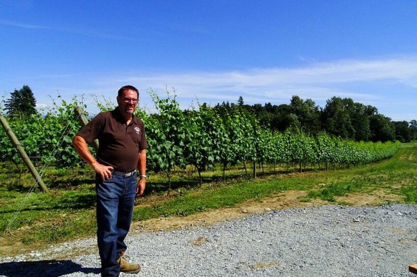 Full Day Best of Vancouver Private City Tour and Wine Tasting 2