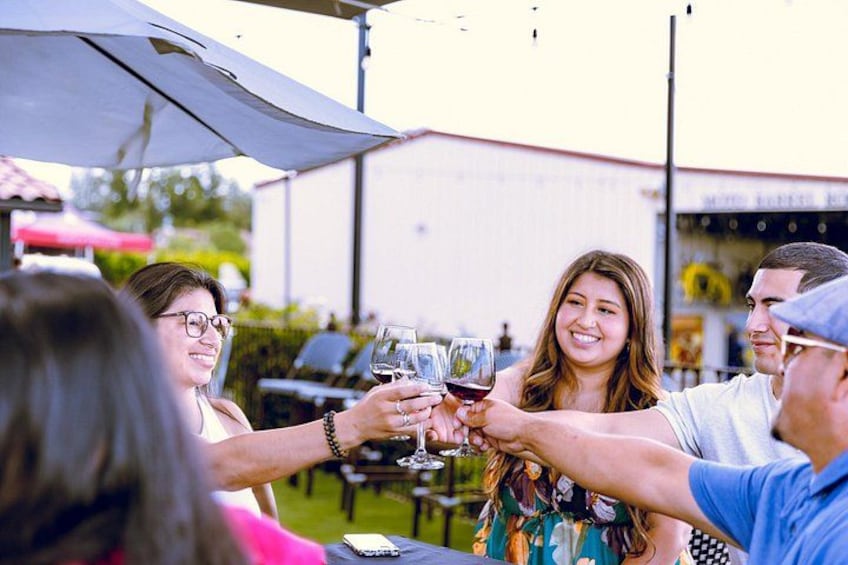 People toasting with wine glasses at an outdoor event. 2