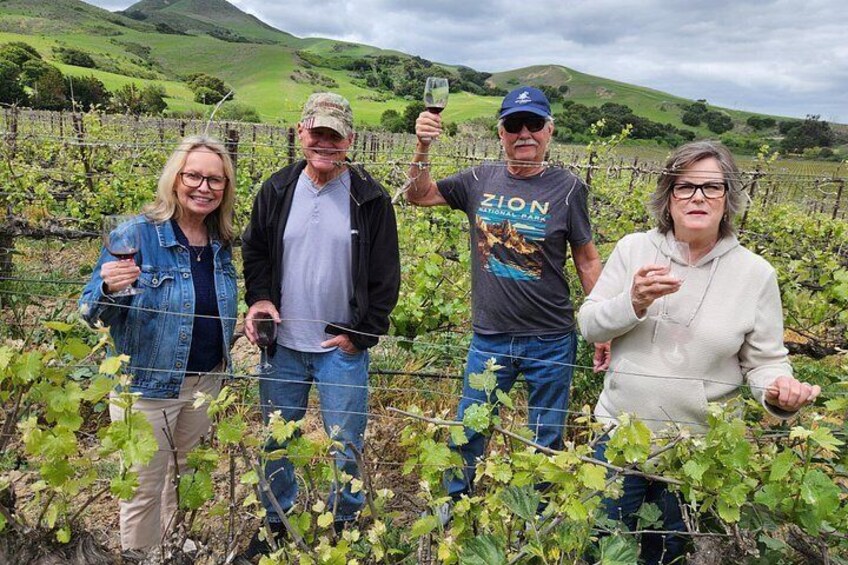 A group of people in a vineyard with rows of grapevines and hills in the background. 2