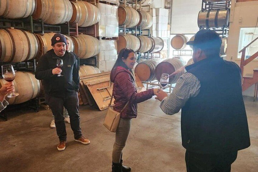 A group of people in a wine cellar with barrels and wine glasses. 3