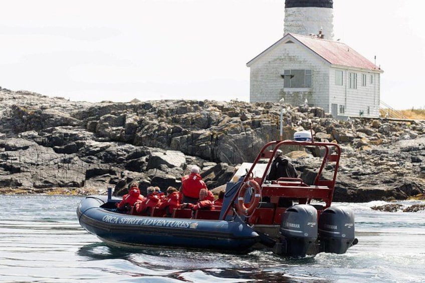 A small inflatable boat with people wearing red jackets, a lighthouse in the background, and rocky terrain. 3